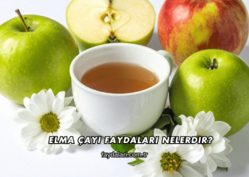 Elma Çayı Faydaları Nelerdir?