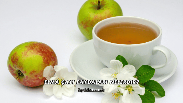 Elma Çayı Faydaları Nelerdir?