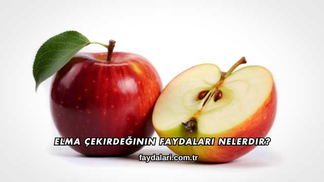 Elma Çekirdeğinin Faydaları Nelerdir?