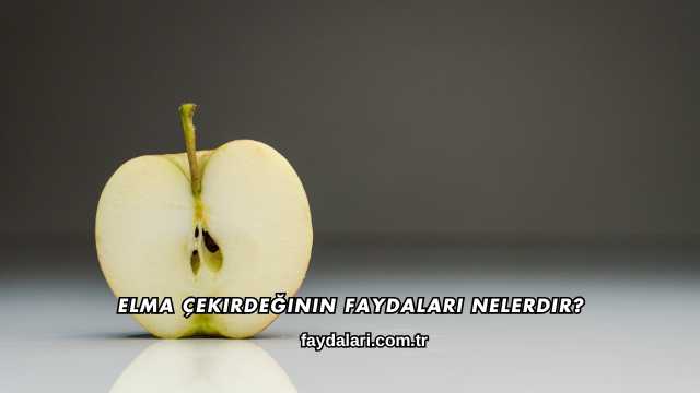 Elma Çekirdeğinin Faydaları Nelerdir?