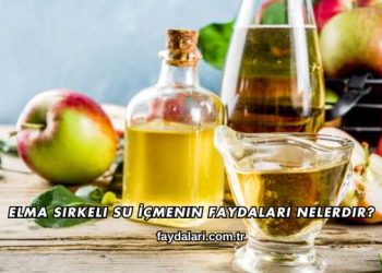 Elma Sirkeli Su İçmenin Faydaları Nelerdir?