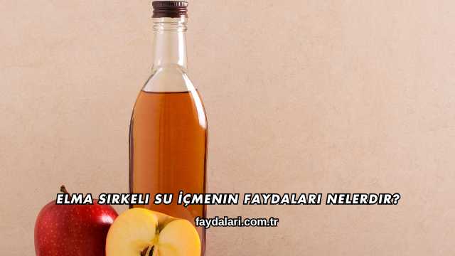 Elma Sirkeli Su İçmenin Faydaları Nelerdir?