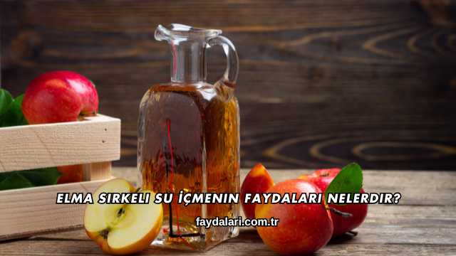 Elma Sirkeli Su İçmenin Faydaları Nelerdir?