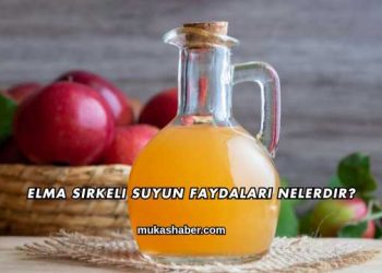 Elma Sirkeli Suyun Faydaları Nelerdir?