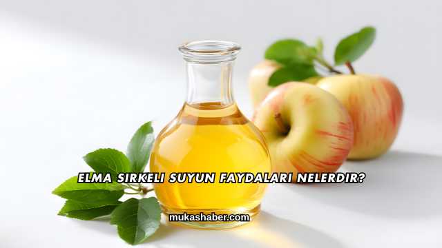 Elma Sirkeli Suyun Faydaları Nelerdir?