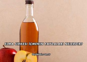 Elma Sirkesi İçmenin Faydaları Nelerdir?