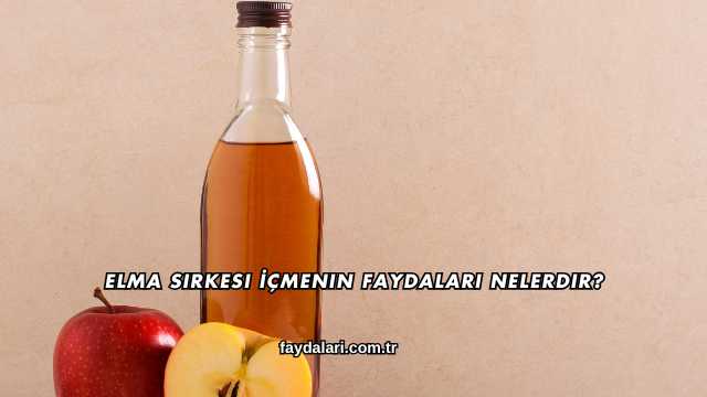 Elma Sirkesi İçmenin Faydaları Nelerdir?