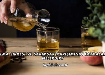 Elma Sirkesi ve Sarımsak Karışımının Faydaları Nelerdir?