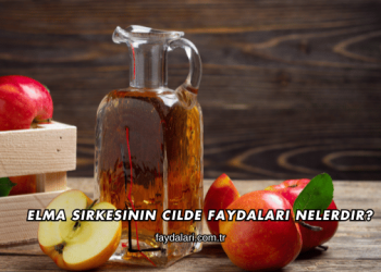 Elma Sirkesinin Cilde Faydaları Nelerdir?