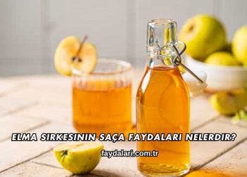 Elma Sirkesinin Saça Faydaları Nelerdir?