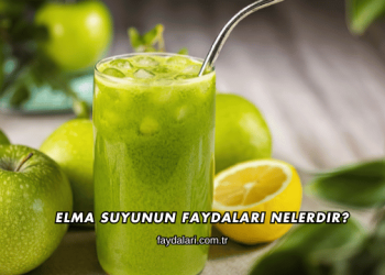 Elma Suyunun Faydaları Nelerdir?