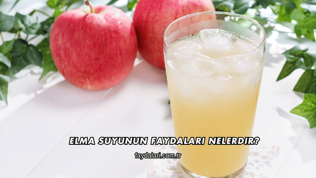 Elma Suyunun Faydaları Nelerdir?