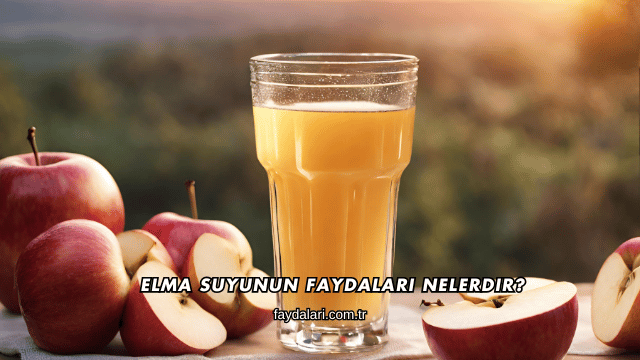 Elma Suyunun Faydaları Nelerdir?