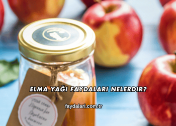 Elma Yağı Faydaları Nelerdir?