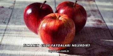 Elmanın Cilde Faydaları Nelerdir?