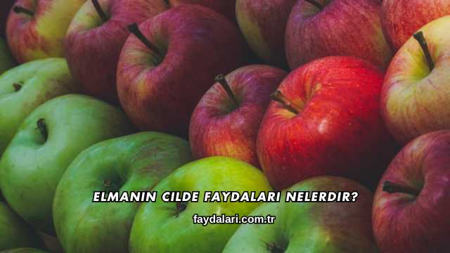 Elmanın Cilde Faydaları Nelerdir?