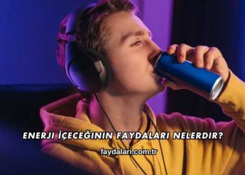 Enerji İçeceğinin Faydaları Nelerdir?