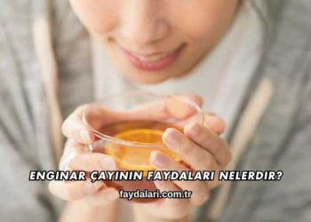 Enginar Çayının Faydaları Nelerdir?