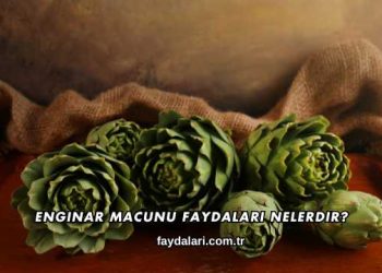 Enginar Macunu Faydaları Nelerdir?