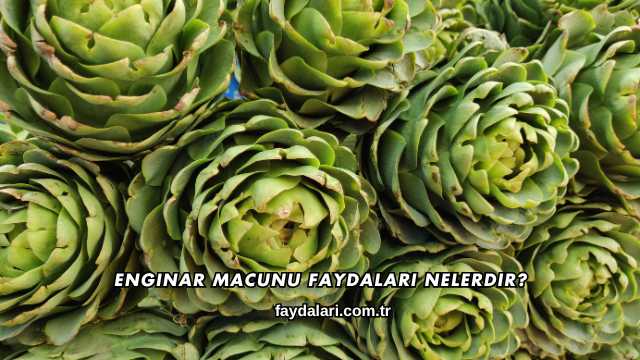 Enginar Macunu Faydaları Nelerdir?