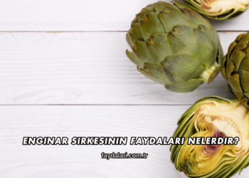 Enginar Sirkesinin Faydaları Nelerdir?
