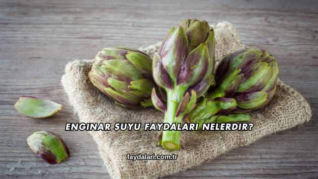 Enginar Suyu Faydaları Nelerdir?