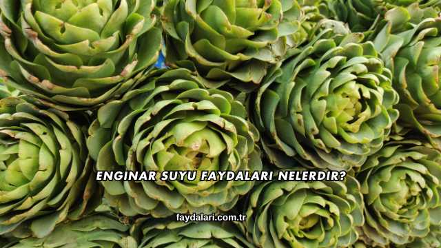 Enginar Suyu Faydaları Nelerdir?