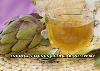 Enginar Suyunun Faydaları Nelerdir?