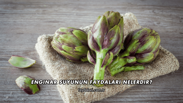 Enginar Suyunun Faydaları Nelerdir?