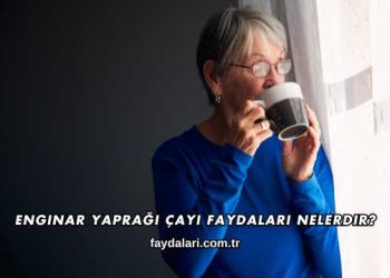 Enginar Yaprağı Çayı Faydaları Nelerdir?