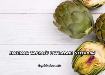 Enginar Yaprağı Faydaları Nelerdir?