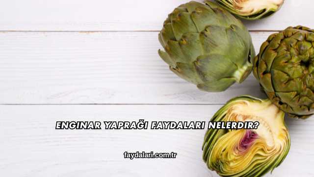 Enginar Yaprağı Faydaları Nelerdir?