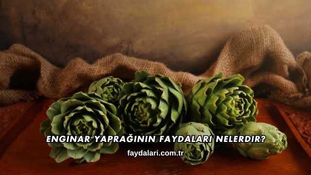 Enginar Yaprağının Faydaları Nelerdir?