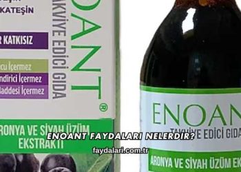 Enoant Faydaları Nelerdir?