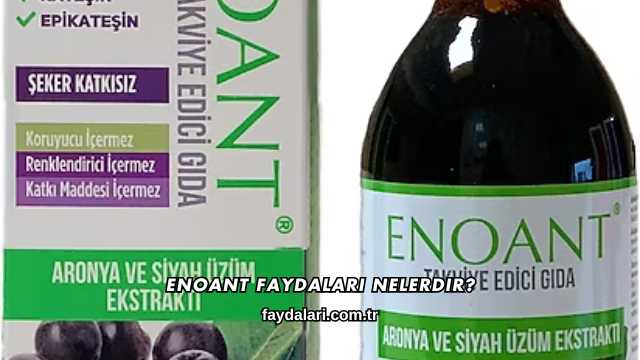 Enoant Faydaları Nelerdir?