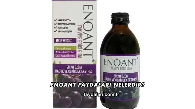 Enoant Faydaları Nelerdir?