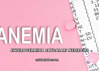 Enterogermina Faydaları Nelerdir?