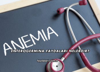 Enterogermina Faydaları Nelerdir?