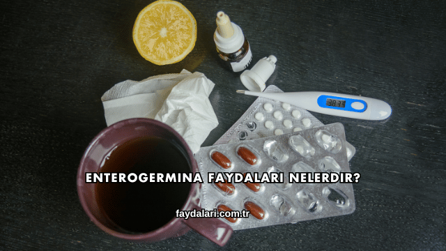 Enterogermina Faydaları Nelerdir?