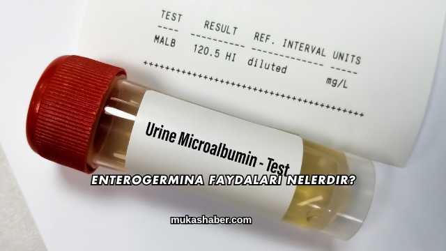 Enterogermina Faydaları Nelerdir?