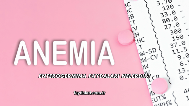 Enterogermina Faydaları Nelerdir?