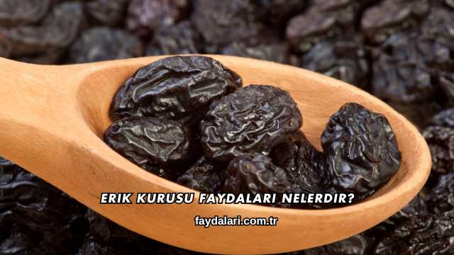 Erik Kurusu Faydaları Nelerdir?