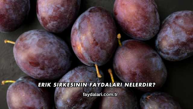 Erik Sirkesinin Faydaları Nelerdir