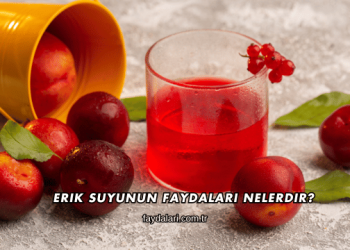 Erik Suyunun Faydaları Nelerdir?