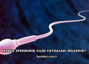 Erkek Sperminin Cilde Faydaları Nelerdir?