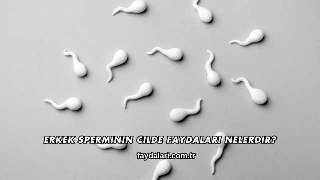Erkek Sperminin Cilde Faydaları Nelerdir?