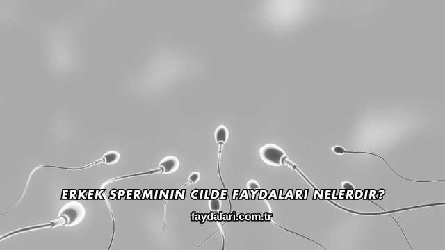 Erkek Sperminin Cilde Faydaları Nelerdir?