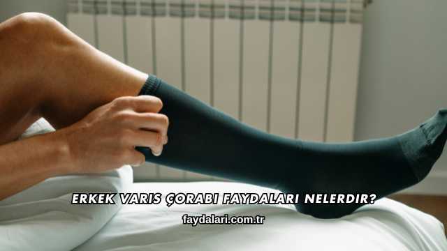 Erkek Varis Çorabı Faydaları Nelerdir?