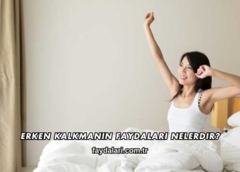 Erken Kalkmanın Faydaları Nelerdir?