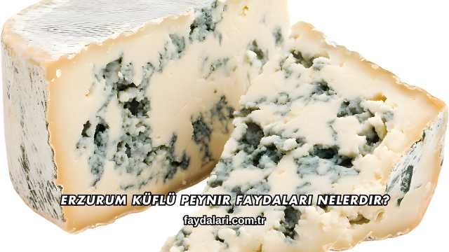 Erzurum Küflü Peynir Faydaları Nelerdir?